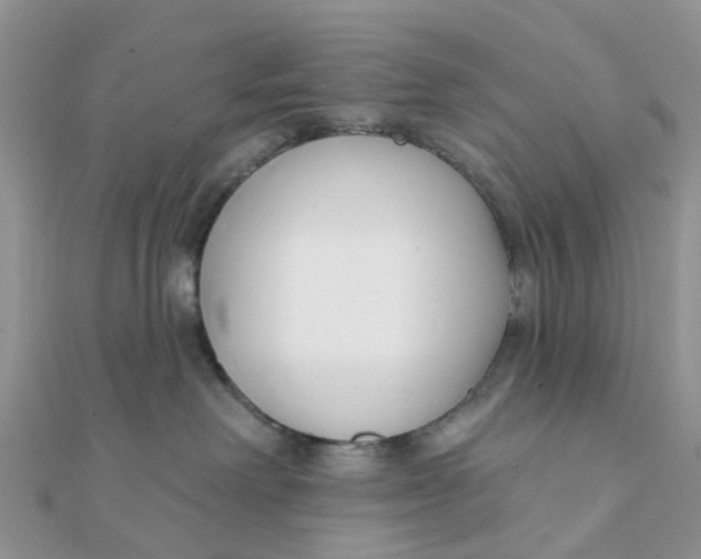 X0000111890238200908131702