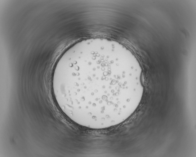 X0000111890241200908131701