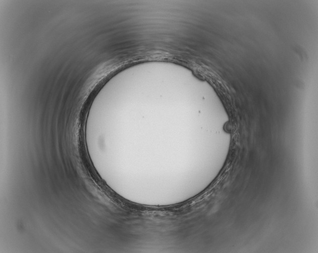 X0000111890242200908131701