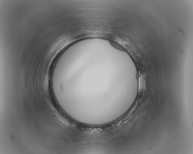 X0000111890243200908131701