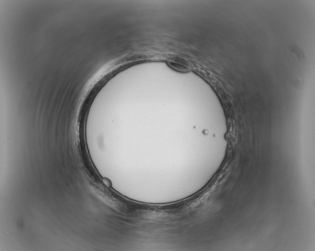 X0000111890246200908131701