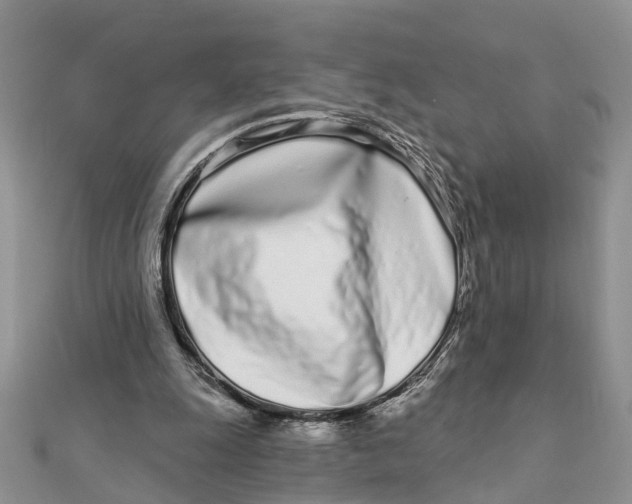 X0000111890247200908131701