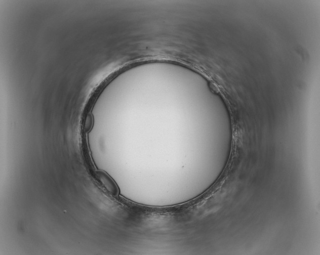 X0000111890248200908131701