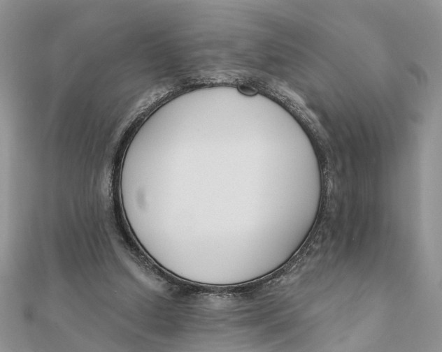 X0000111890250200908131701