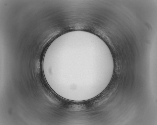 X0000111890251200908131701