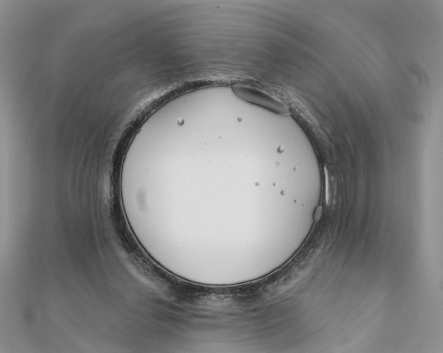 X0000111890252200908131701