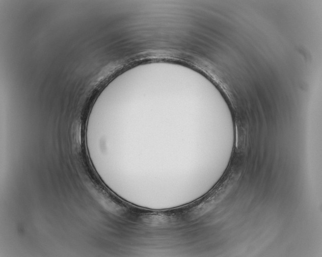 X0000111890253200908131701