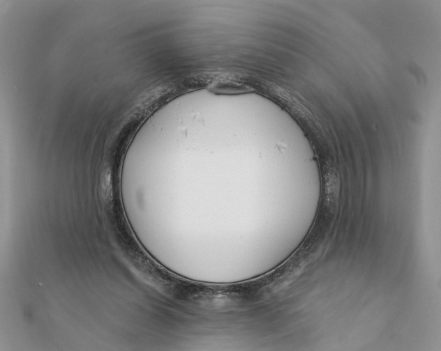 X0000111890254200908131701