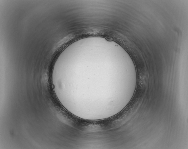 X0000111890256200908131701