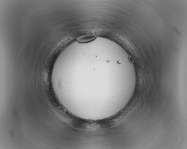 X0000111890258200908131701