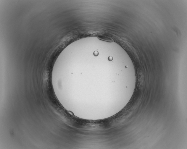 X0000111890260200908131701