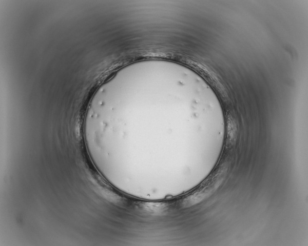 X0000111890261200908131701