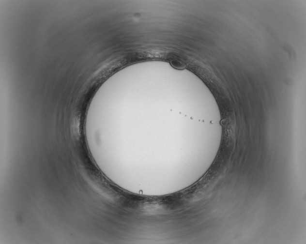 X0000111890262200908131701