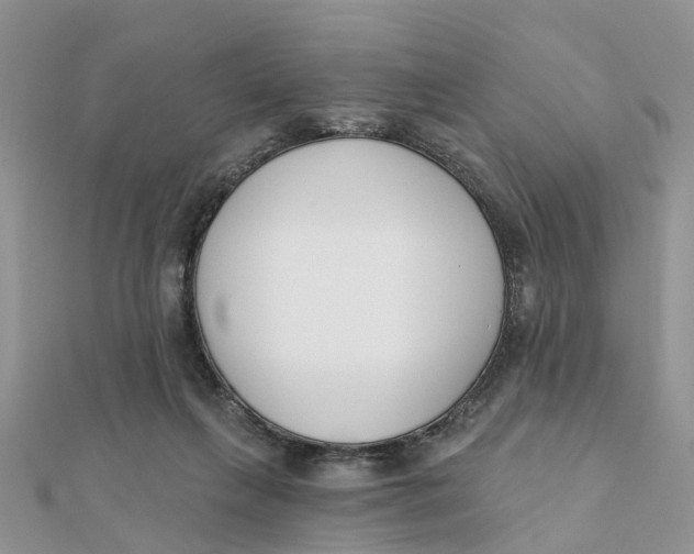 X0000111890263200908131701