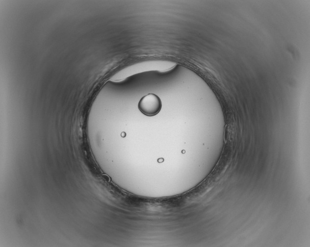 X0000111890264200908131701