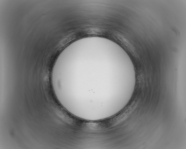 X0000111890265200908131701