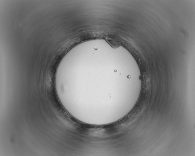 X0000111890266200908131701