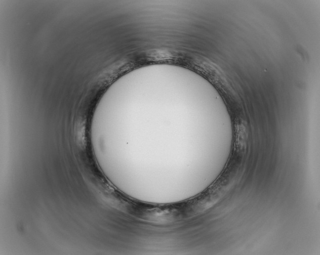 X0000111890267200908131701