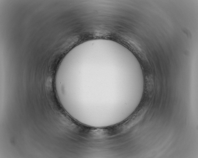 X0000111890269200908131701