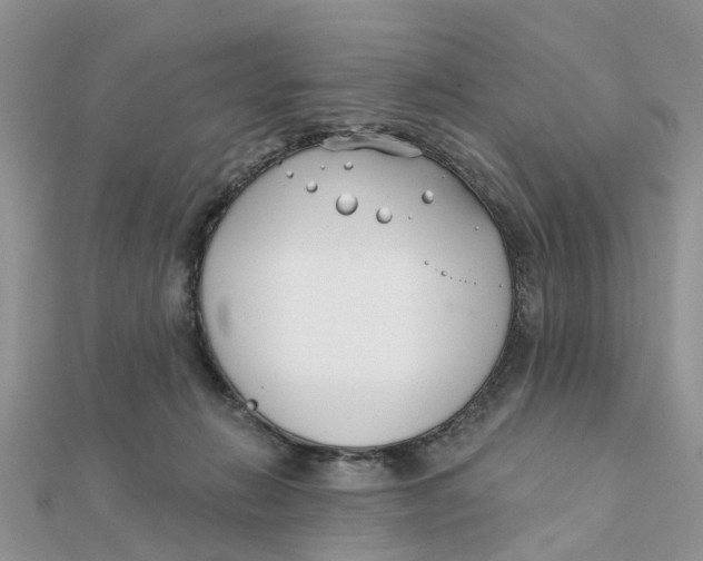 X0000111890270200908131701