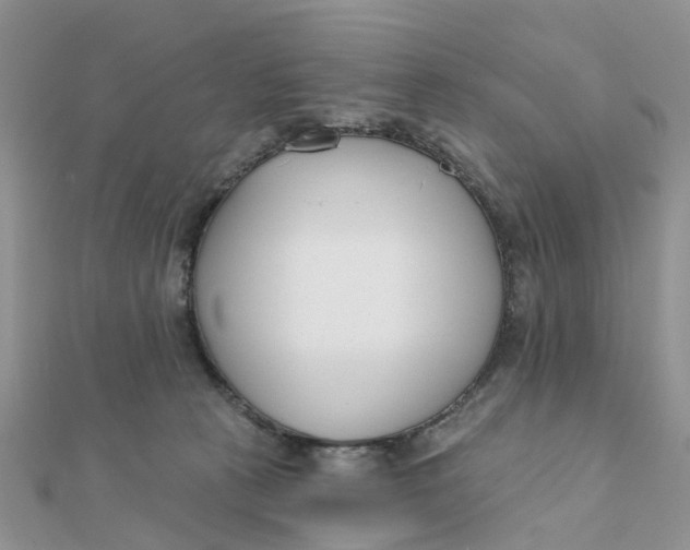 X0000111890273200908131701