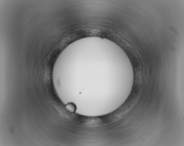 X0000111890274200908131701