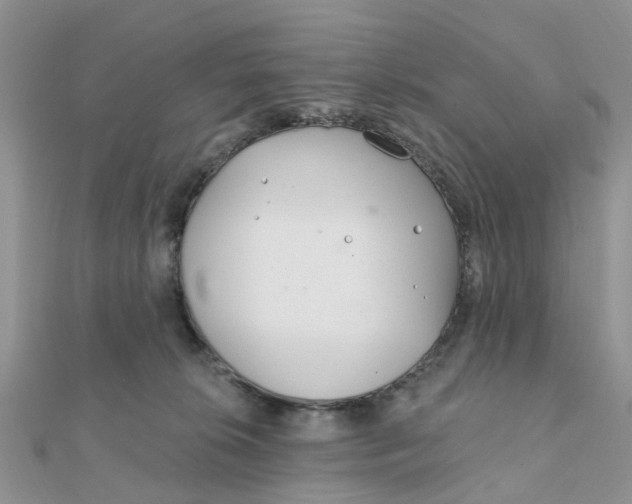 X0000111890276200908131701