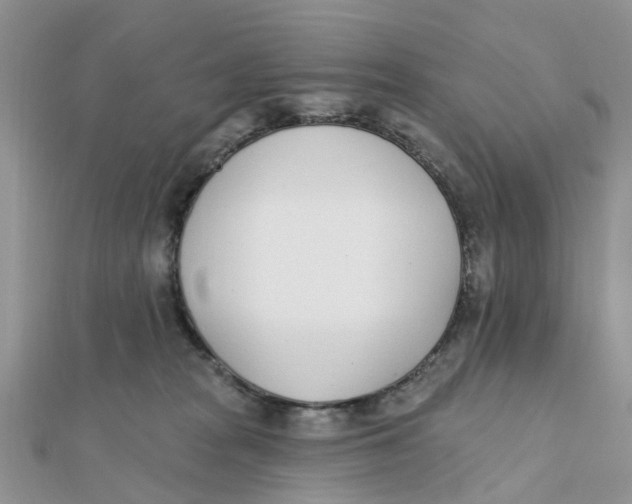 X0000111890277200908131701