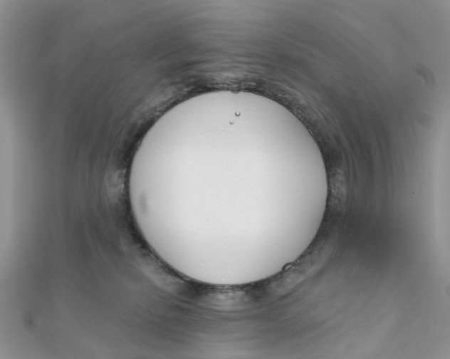 X0000111890278200908131701