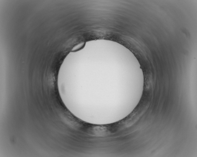 X0000111890279200908131701