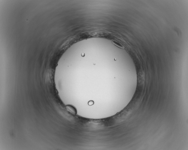 X0000111890280200908131701