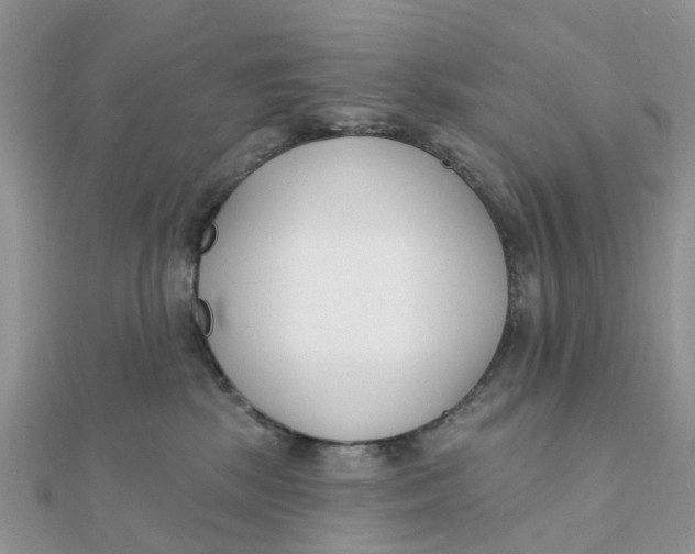 X0000111890281200908131701