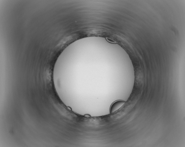 X0000111890282200908131701