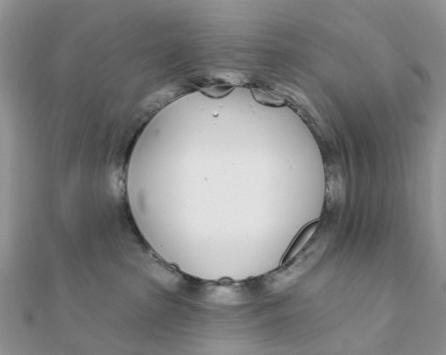 X0000111890285200908131702