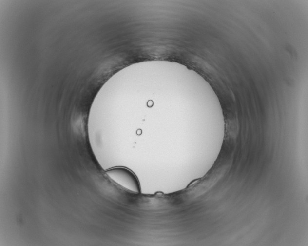 X0000111890286200908131702