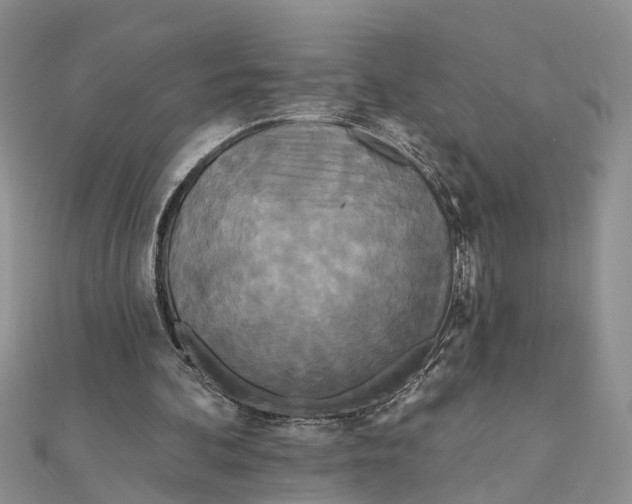 X0000111890292200908131701