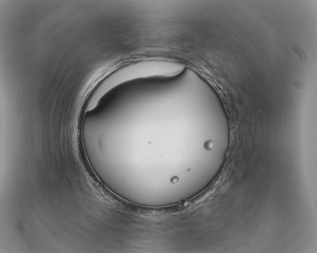 X0000111890293200908131701