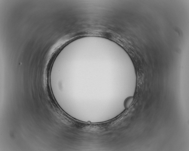 X0000111890294200908131701