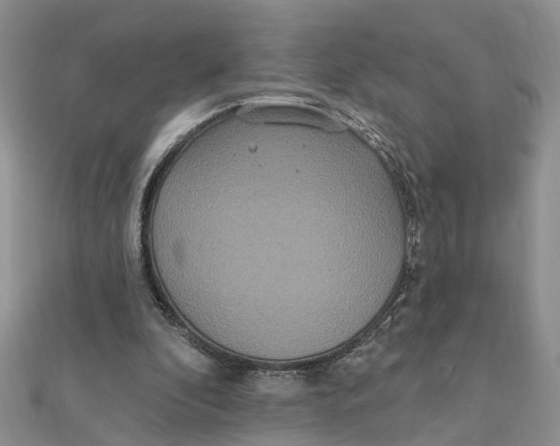 X0000111890296200908131701