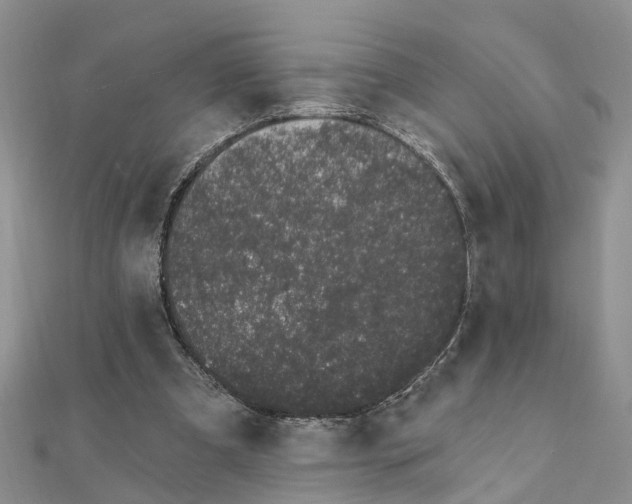 X0000111890297200908131701