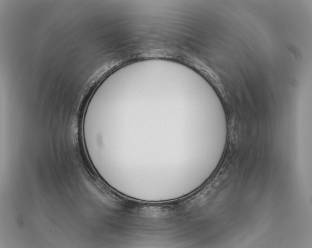 X0000111890298200908131701