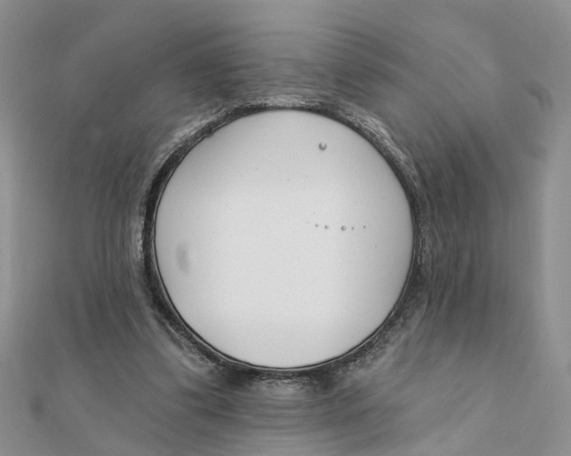 X0000111890299200908131701