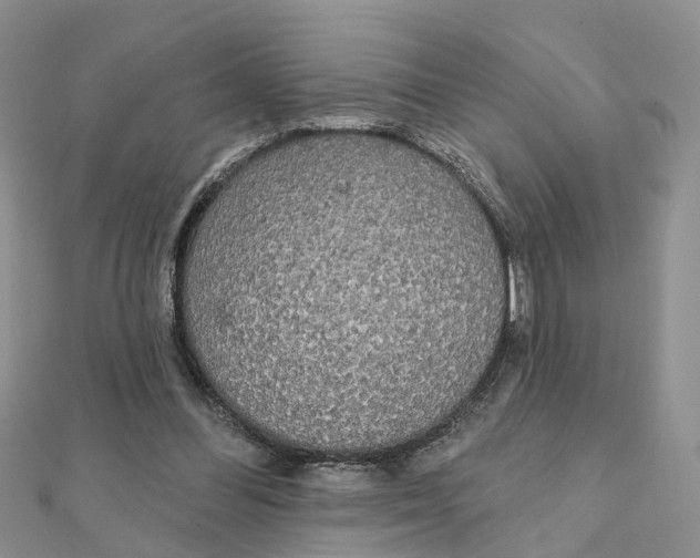 X0000111890300200908131701