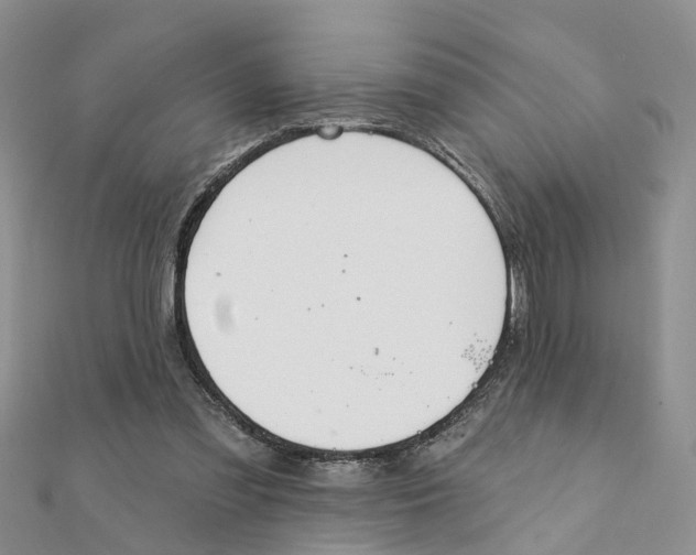 X0000111890301200908131701