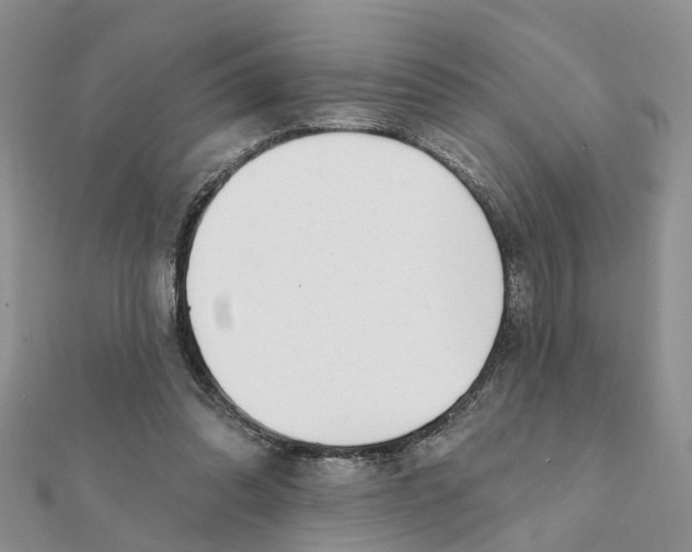 X0000111890302200908131701