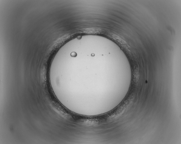 X0000111890303200908131701