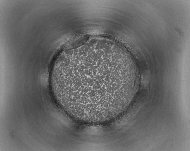 X0000111890304200908131701