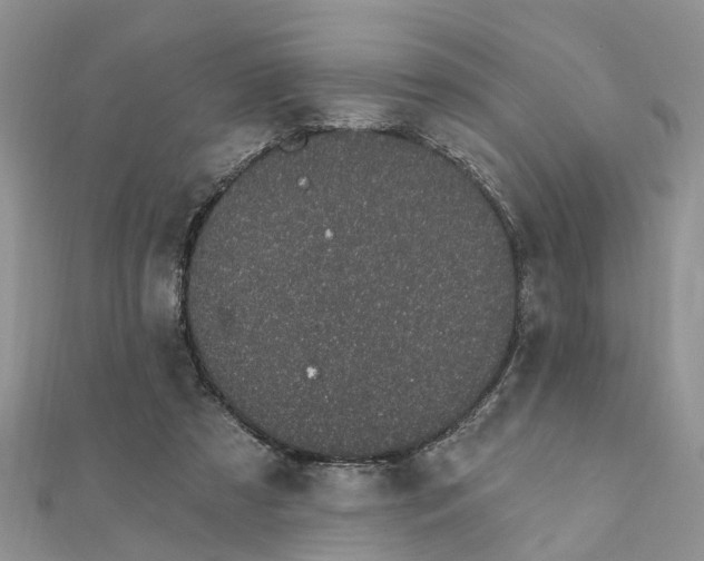 X0000111890305200908131701