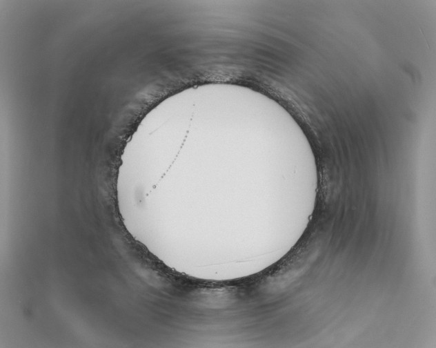 X0000111890307200908131701