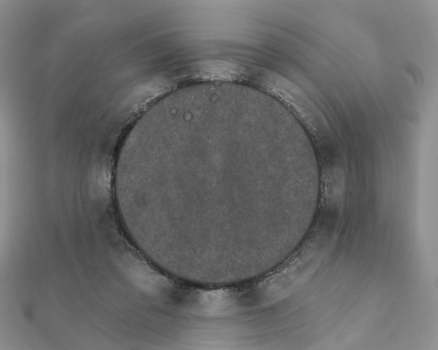 X0000111890309200908131701